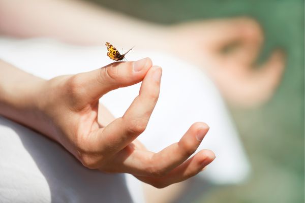 Sadhana-quotidiana-meditazione